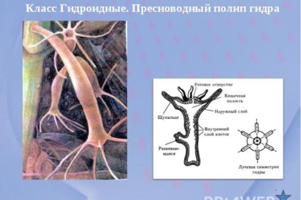 Почему кракен не блокируют